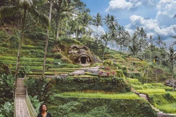 Bali Tour with Local Driver: Waterfalls, Rice Terraces & Coffee