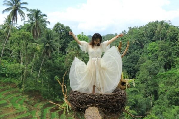 Ubud Tour: Bali Swing, Hidden Waterfalls & Sacred Temples