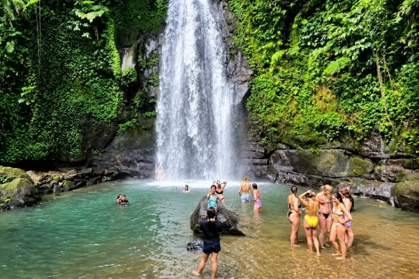 Half Day Tour in Ubud: Zipline, Swing, Terraced Rice Fields, & Waterfalls