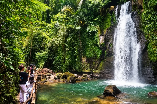 Half Day Tour in Ubud: Zipline, Swing, Terraced Rice Fields, & Waterfalls