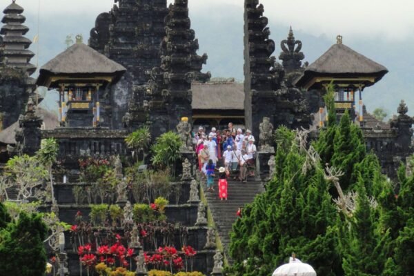 Bali: Traditional Village, Mother Temple & Hidden Waterfall Tour
