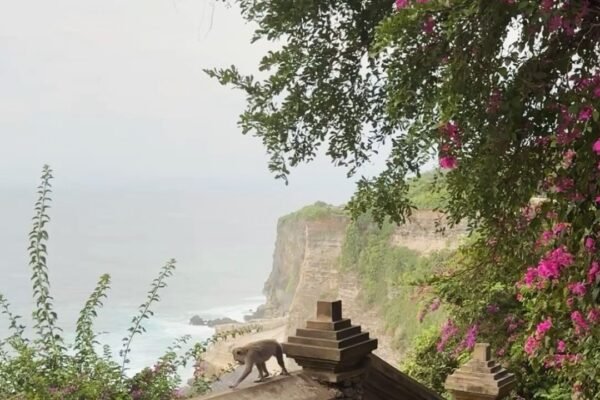 From Canggu: Uluwatu Temple, Kecak Dance & Beach Choice