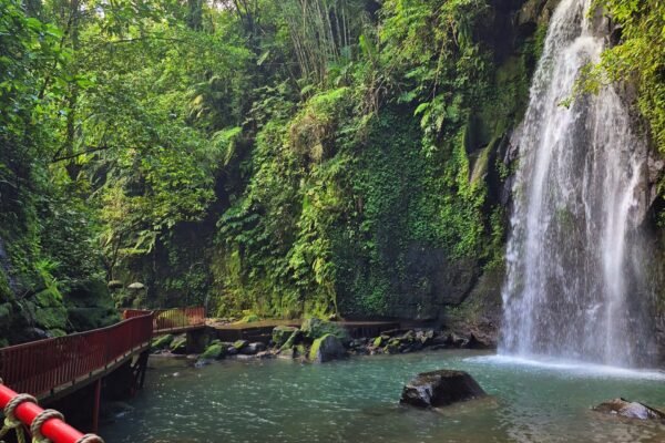 From Ubud: Hidden Waterfalls & Tegalalang Rice Terrace Tour