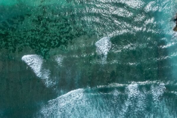 From Canggu: Uluwatu Temple, Kecak Dance & Beach Choice