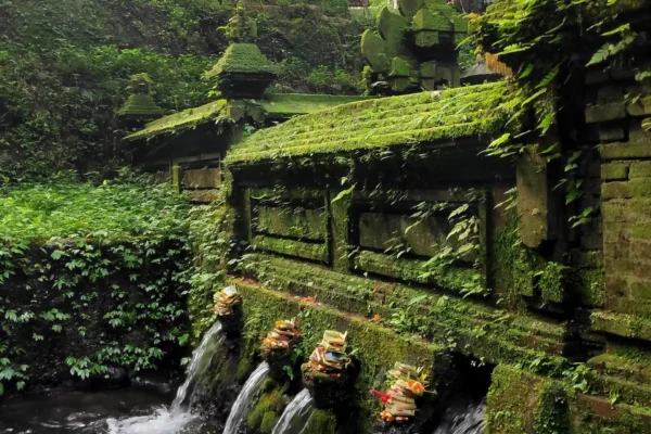 Bali Nature & Mount Batur View Day Trip