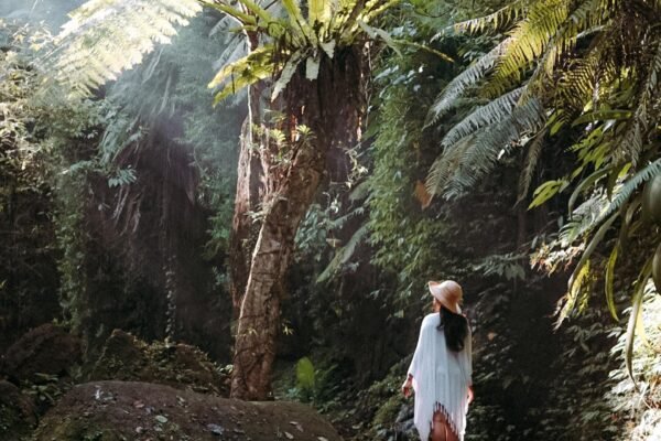 From Ubud: Hidden Waterfalls & Tegalalang Rice Terrace Tour
