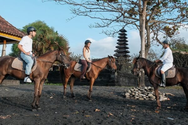 Bali Horse Riding – Choose Your Riding Duration