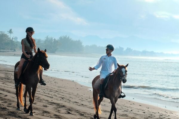 Bali Horse Riding – Choose Your Riding Duration