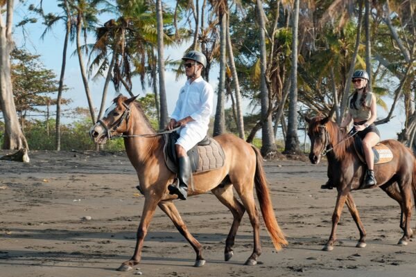 Bali Horse Riding – Choose Your Riding Duration