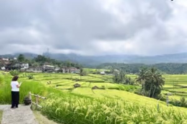 Bali: Private UNESCO World Heritage Sites Tour