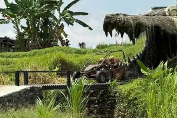 UTV Buggy Bali Adventure – Jungle, Mud & River Experience