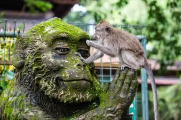 Ubud: Waterfalls, Terraced Rice Fields & Monkey Forest Private Tour
