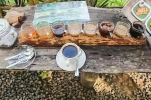 Ubud: Waterfalls, Terraced Rice Fields & Monkey Forest Private Tour