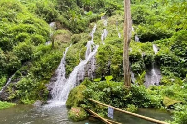 Bali Nature & Mount Batur View Day Trip