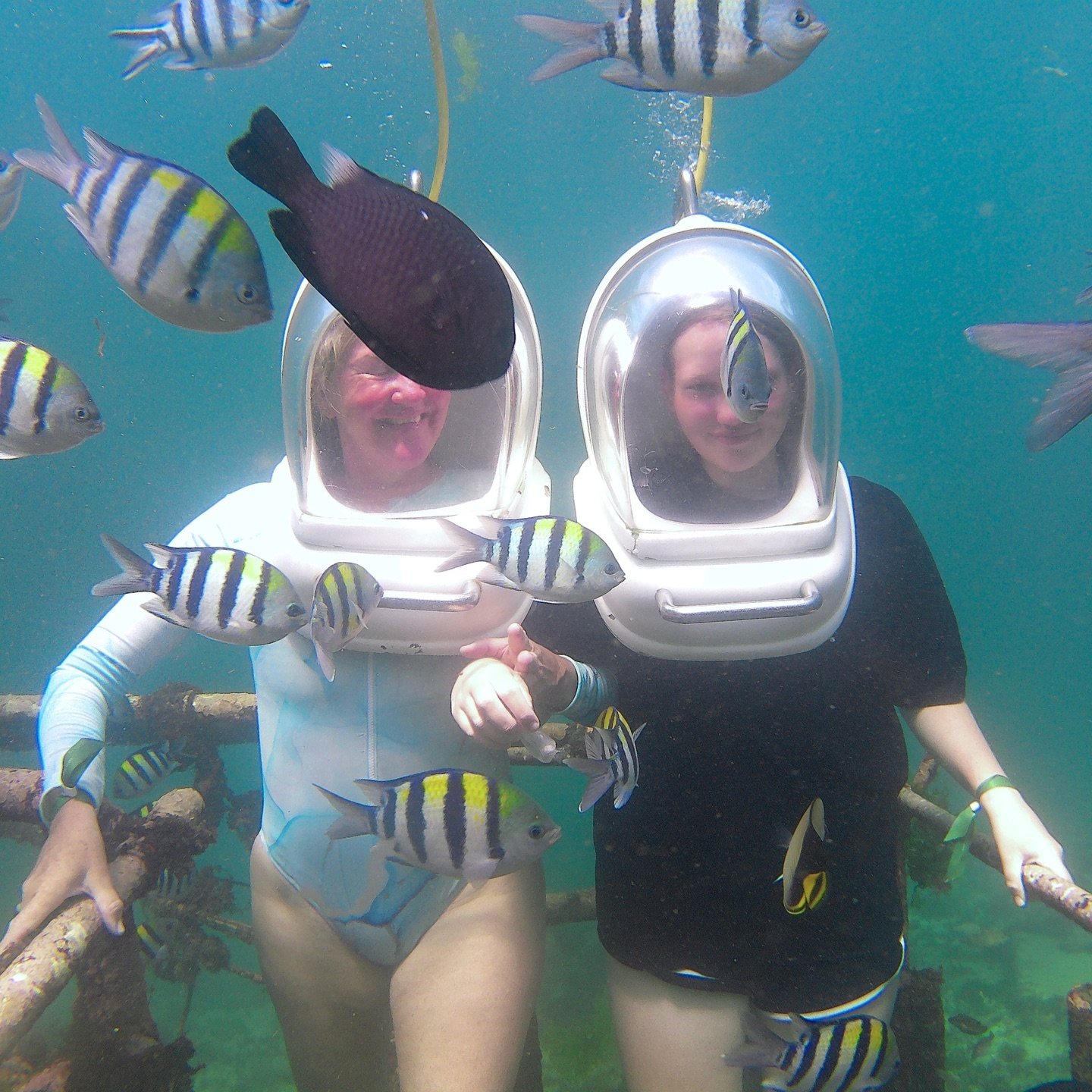 Bali Water Sports Tanjung Benoa – Jet Ski, Parasailing & Ocean ...