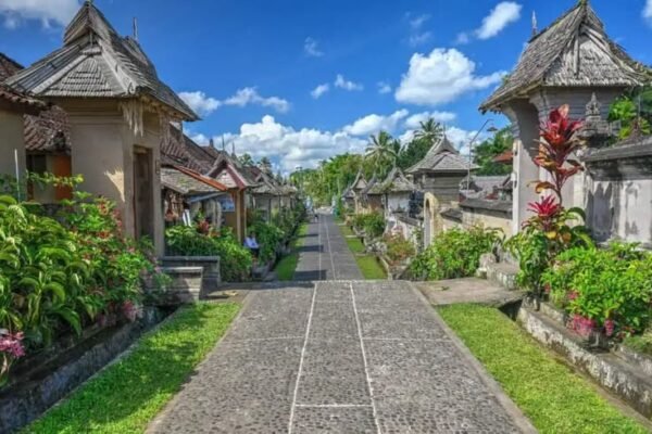 Bali: Traditional Village, Mother Temple & Hidden Waterfall Tour